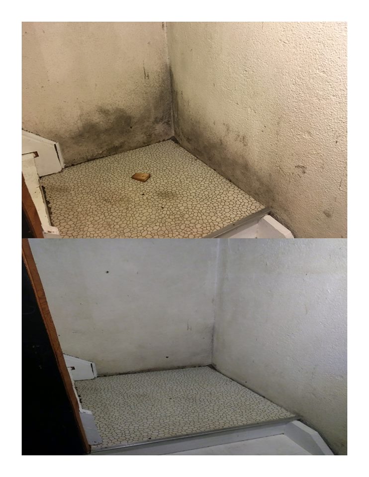 Basement wall cleaning