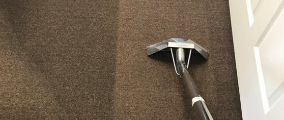 Commercial/Business Office Carpet Cleaning Services