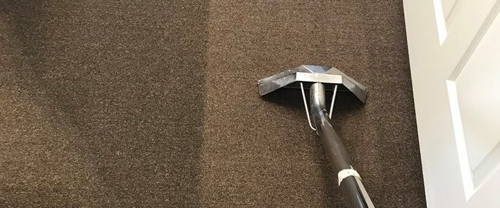 Commercial/Business Office Carpet Cleaning Services