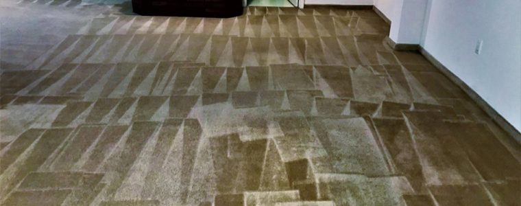 Hot water extraction carpet cleaning in Shelby Twp