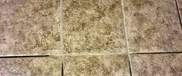 Grout Cleaning services Macomb County
