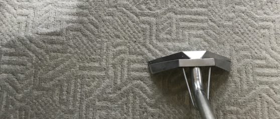 Macomb County’s best carpet cleaning service Paradigm Solutions