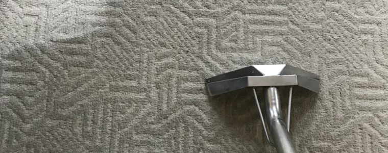 Macomb County’s best carpet cleaning service Paradigm Solutions