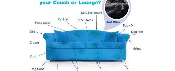 Hot Water Extraction Upholstery cleaning 48315