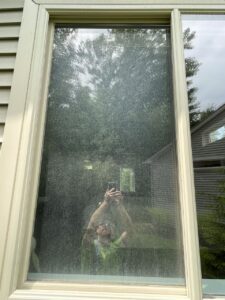 window cleaning macomb oakland counties