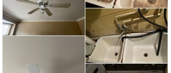 Signature Move-Out cleaning services