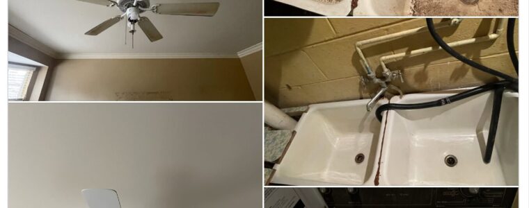 Signature Move-Out cleaning services