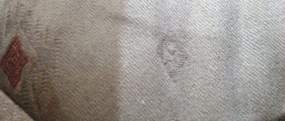 Hot Water Extraction Upholstery Cleaning