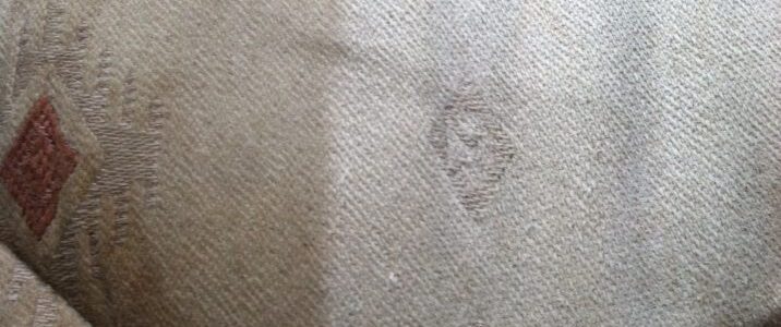 Hot Water Extraction Upholstery Cleaning